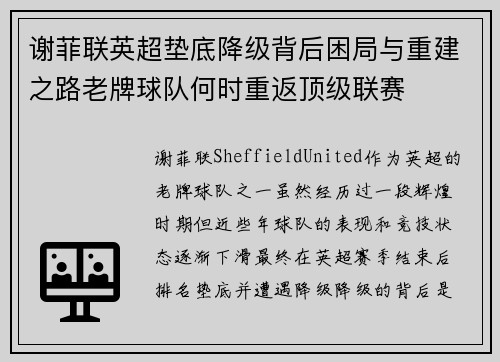 谢菲联英超垫底降级背后困局与重建之路老牌球队何时重返顶级联赛