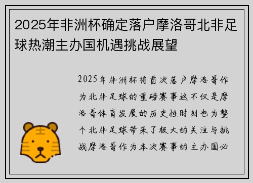 2025年非洲杯确定落户摩洛哥北非足球热潮主办国机遇挑战展望